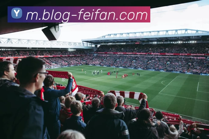 多媒体互动体验